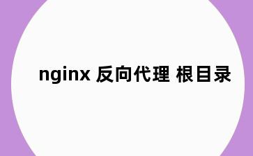 nginx 反向代理 根目录